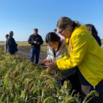 “Domestic agro-science of breeding and seed production” for students of agricultural educational programs within the framework of AGROKAZ project